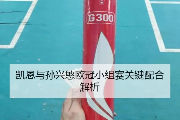 凯恩与孙兴慜欧冠小组赛关键配合解析